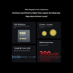 Roseselsa RZ-550 Portable Headphone Amplifier DAC